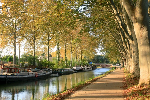 Foto de toulouse - Free tour por Toulouse foto del canal du midi